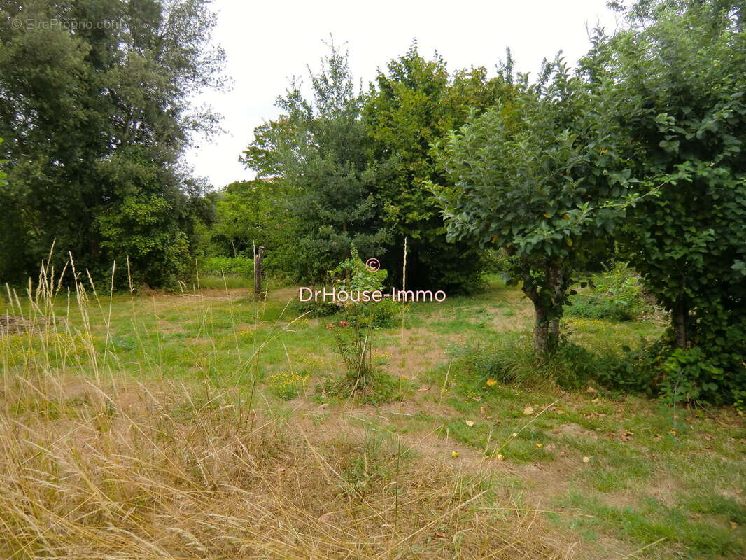 Terrain 1566 m² à Masseube  - photo 8