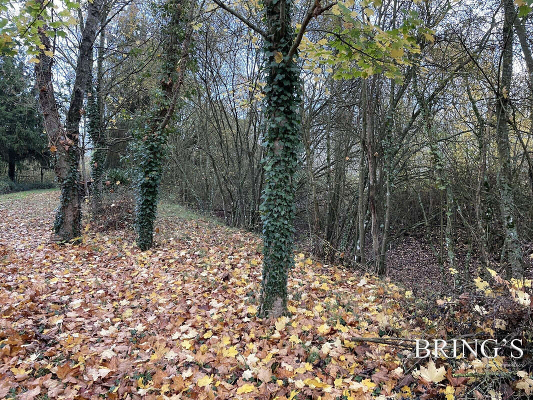 Terrain à VILLAINES-LA-CARELLE