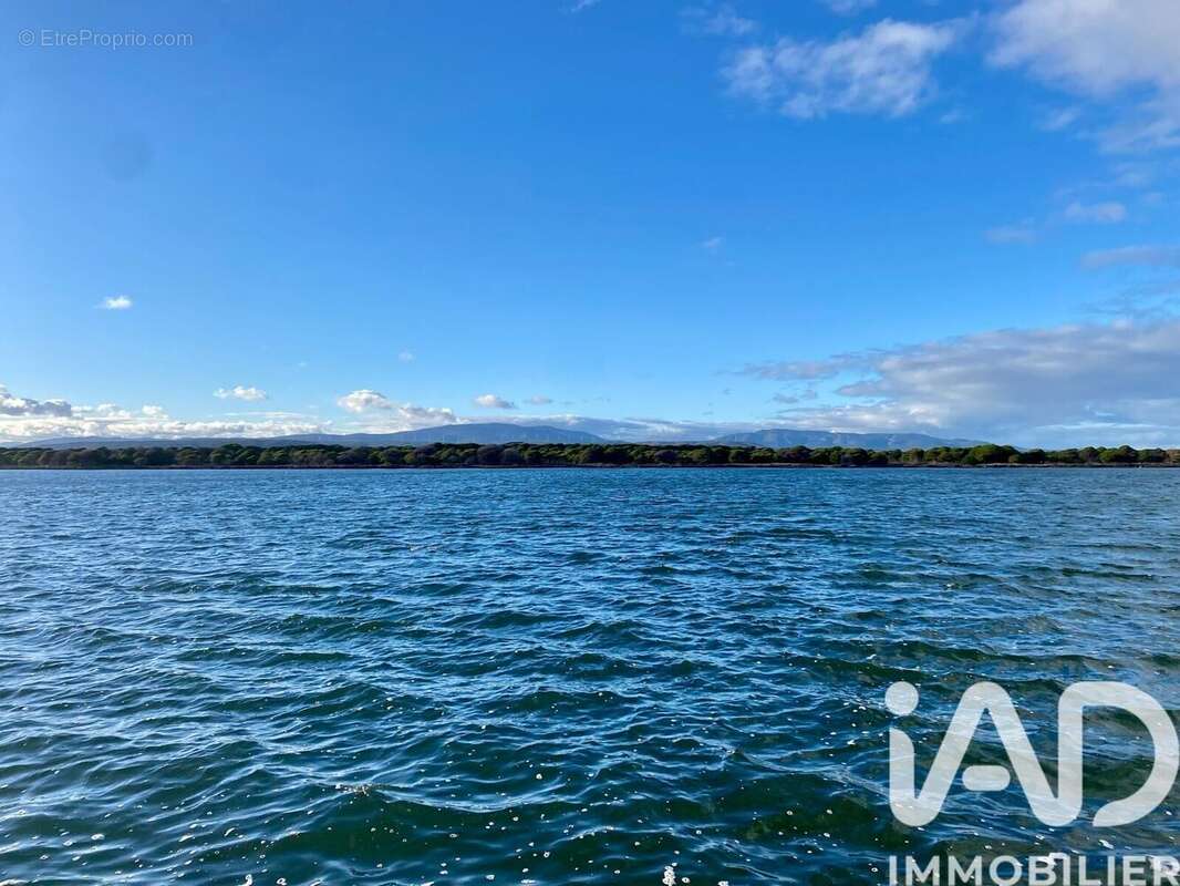 Photo 3 - Appartement à LEUCATE