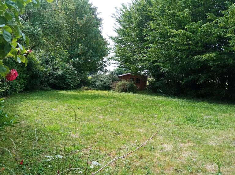 Maison à MONTS-EN-TERNOIS