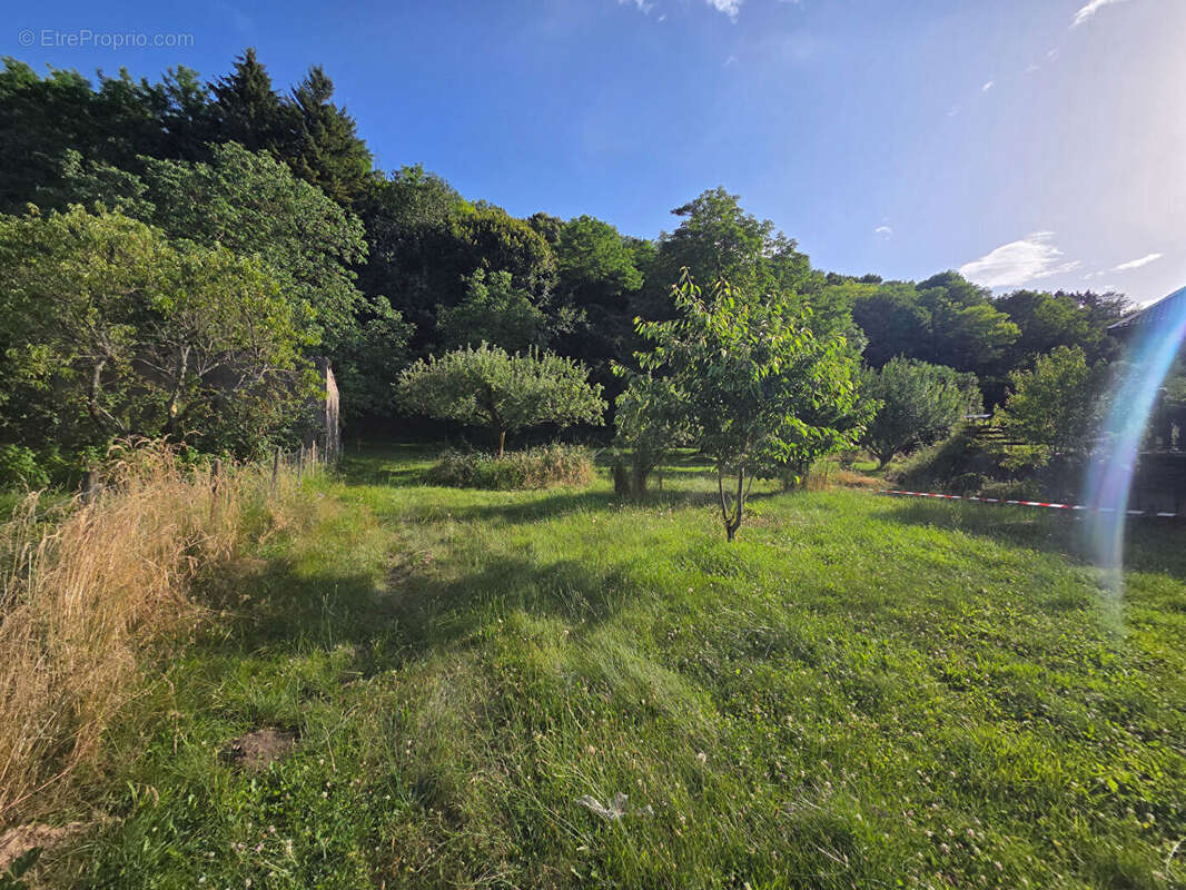 Terrain à BETTANT