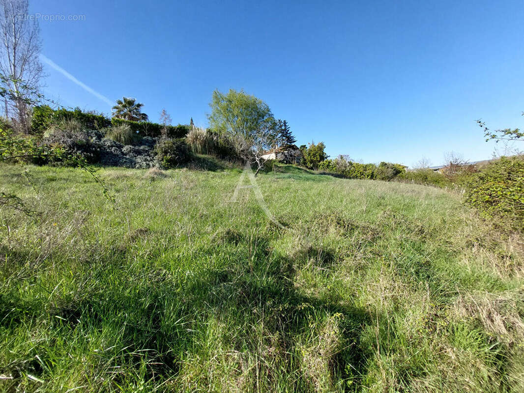 Terrain à RABASTENS