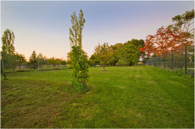 Maison à JAUNAY-CLAN