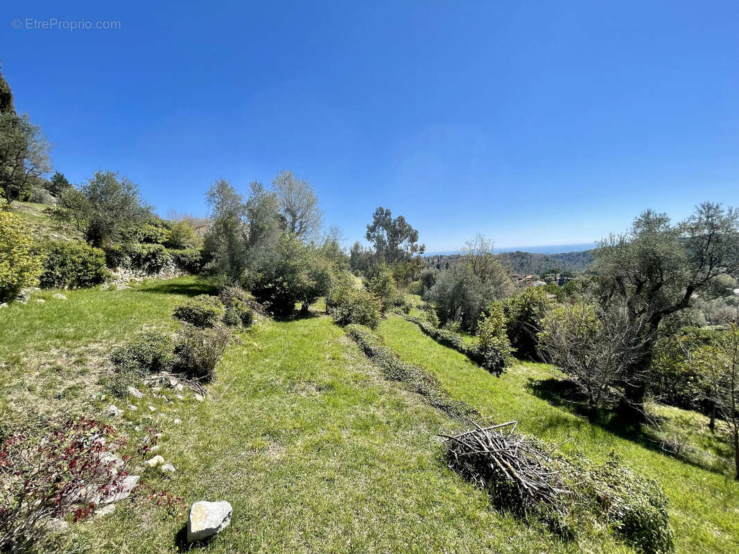 Terrain à VENCE