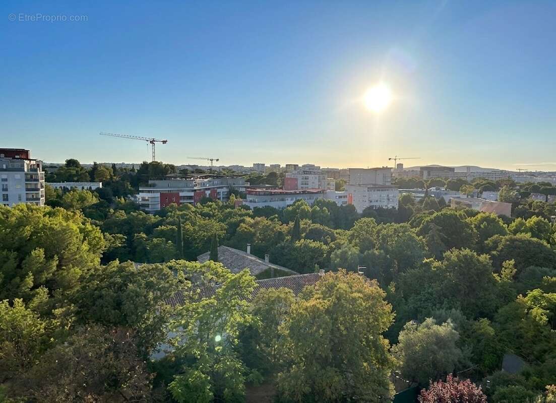 Appartement à MONTPELLIER
