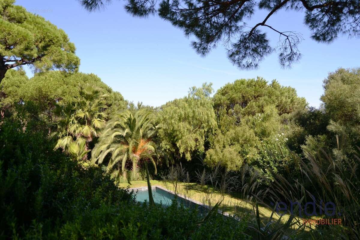 Maison à RAMATUELLE