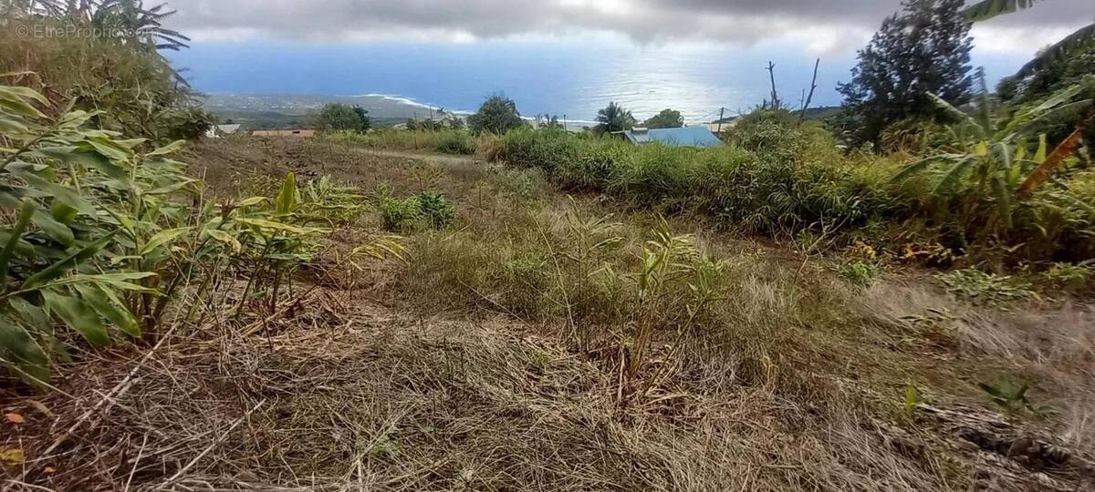 Terrain à SAINT-LEU