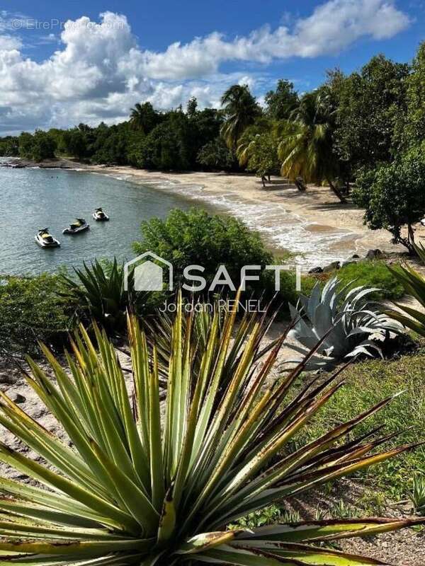 Photo 4 - Appartement à SAINTE-LUCE