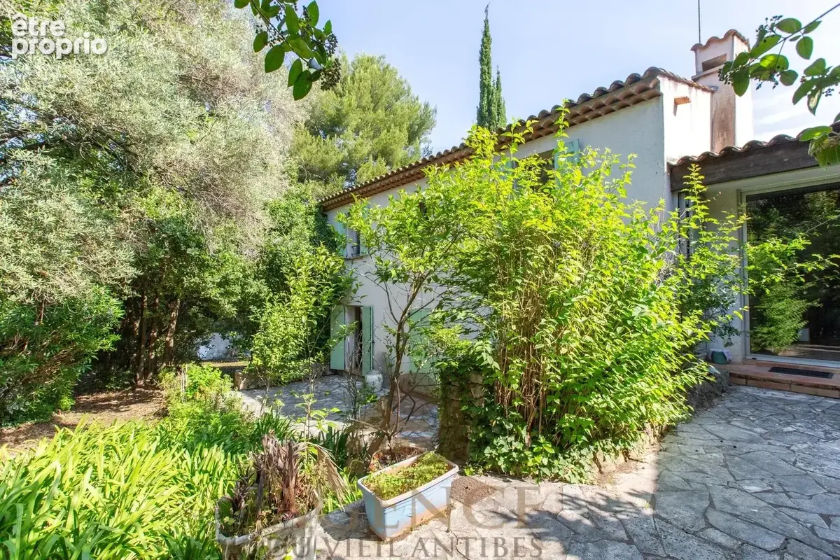 Antibes Suquette Maison avec terrain 2100m2– Authentique propriété en pierre – Environnement privilégié – Fort potentiel – Pisci - photo 5