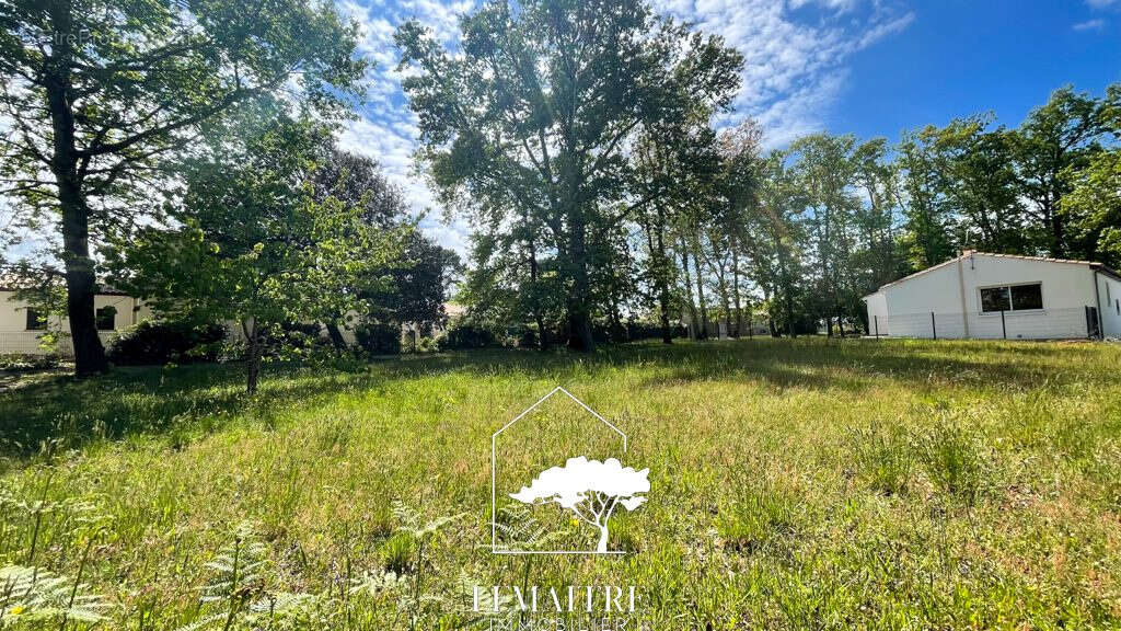 Terrain à LES MATHES