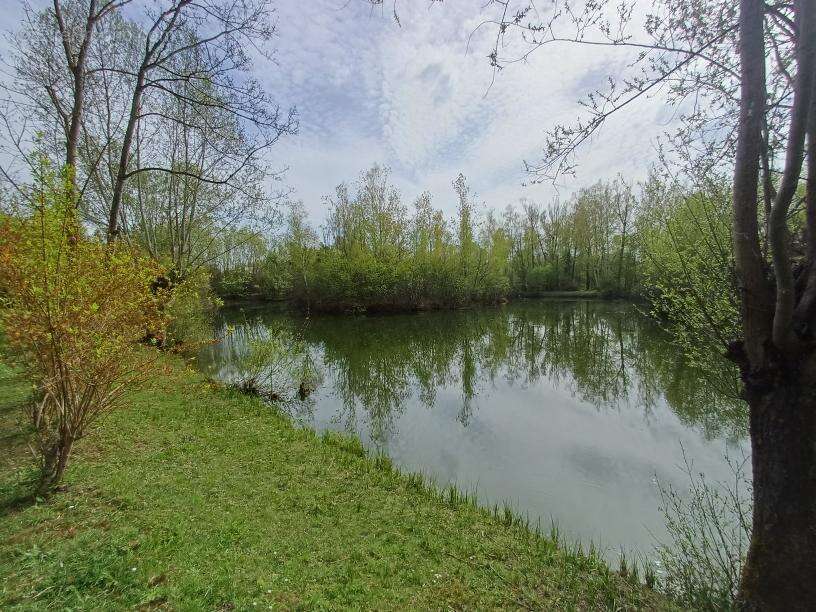 Terrain 31288 m² à Amiens  - photo 8
