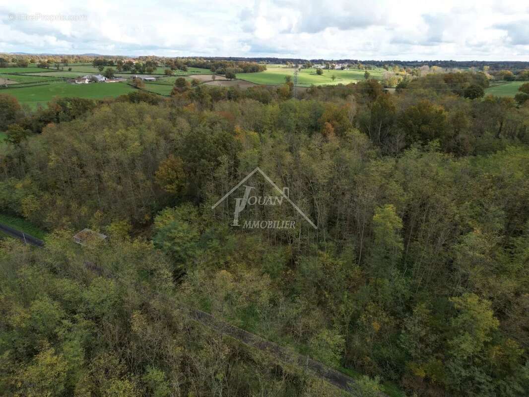 Terrain à SALIGNY-SUR-ROUDON