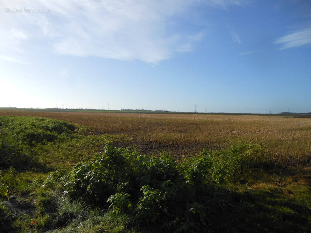 Terrain à QUAROUBLE