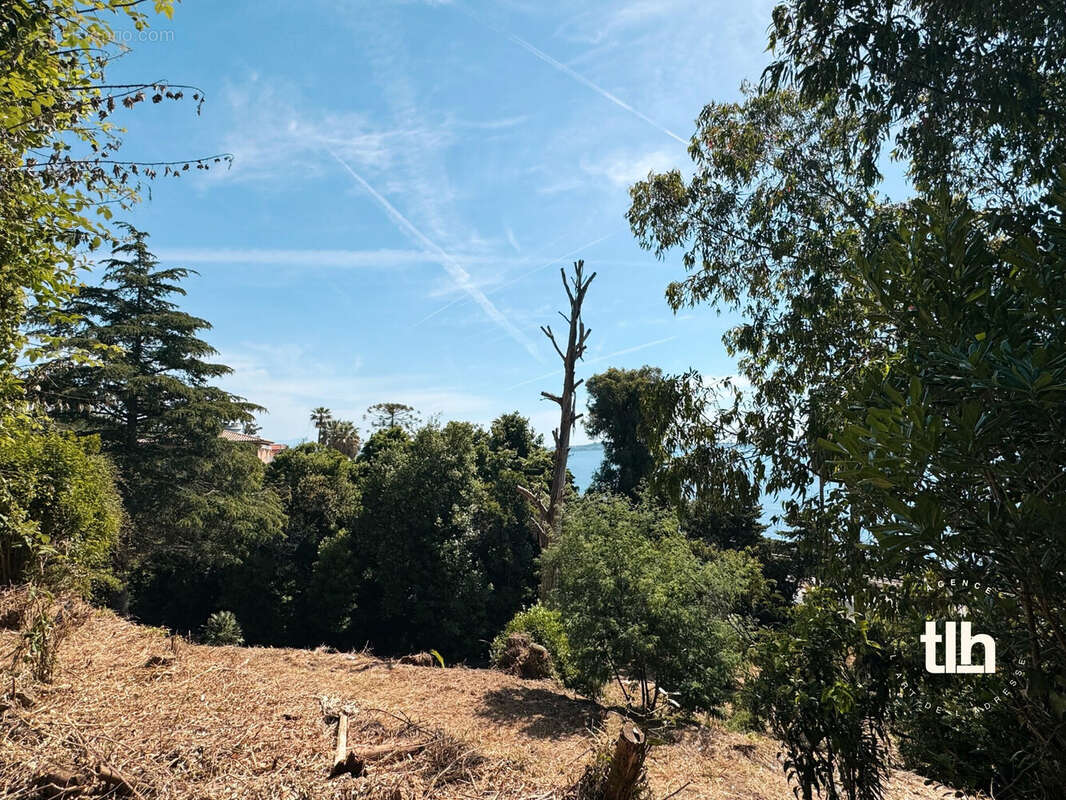 Terrain à VALLAURIS