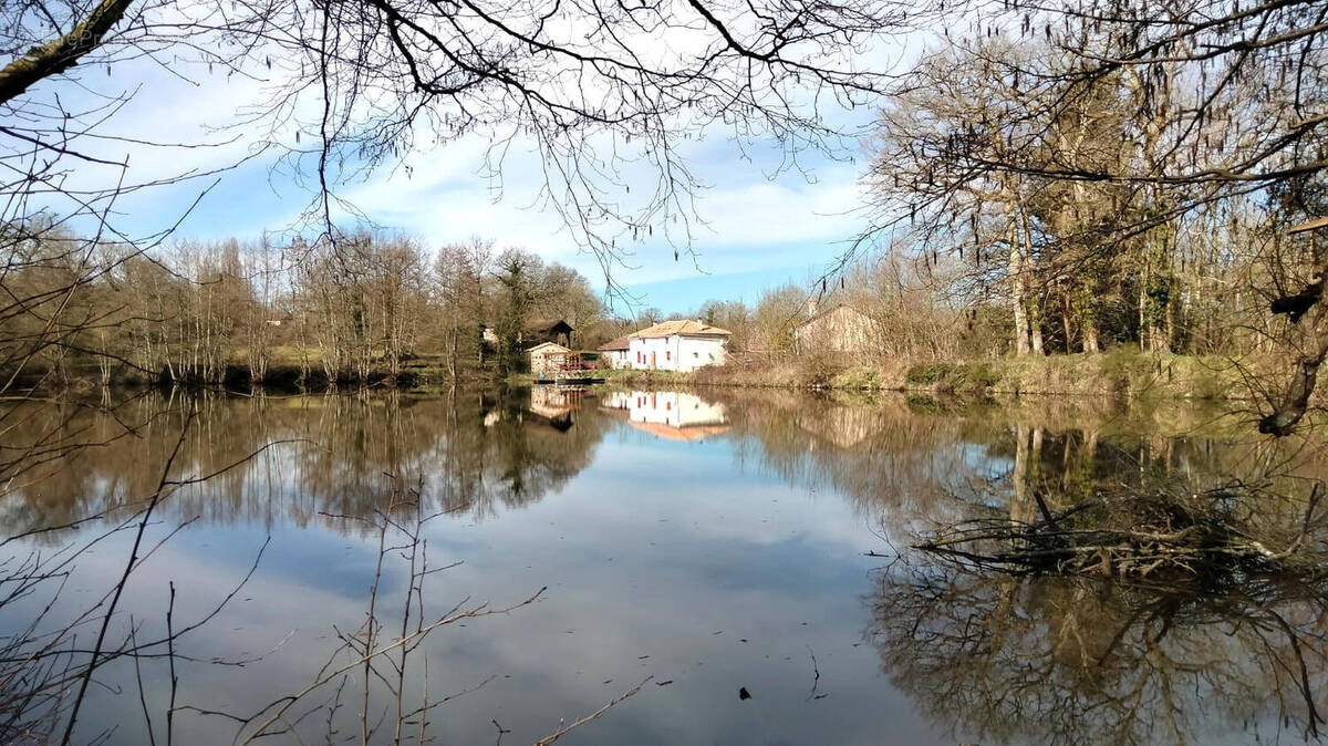 OVERVIEW - Maison à ASNIERES-SUR-BLOUR