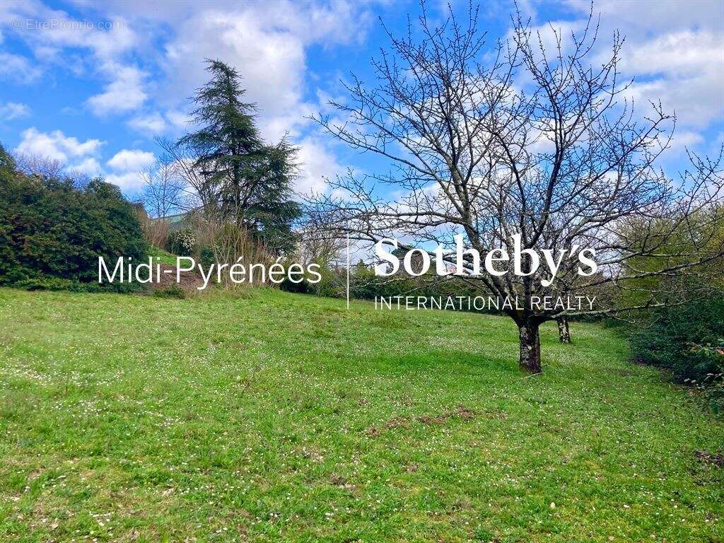 Terrain à VIGOULET-AUZIL