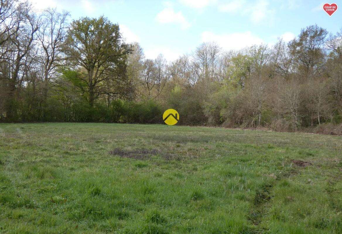 Maison à ARGENT-SUR-SAULDRE
