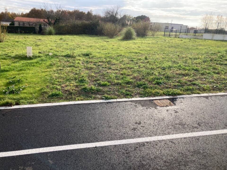 Photo Terrain à La Chapelle-Des-Pots au prix de 35 600€