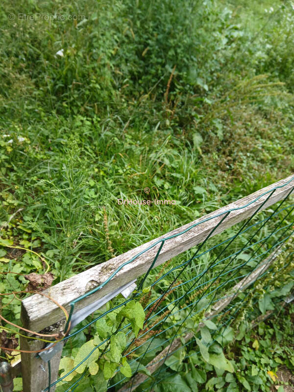 Terrain à SAINT-CYR-SUR-MENTHON