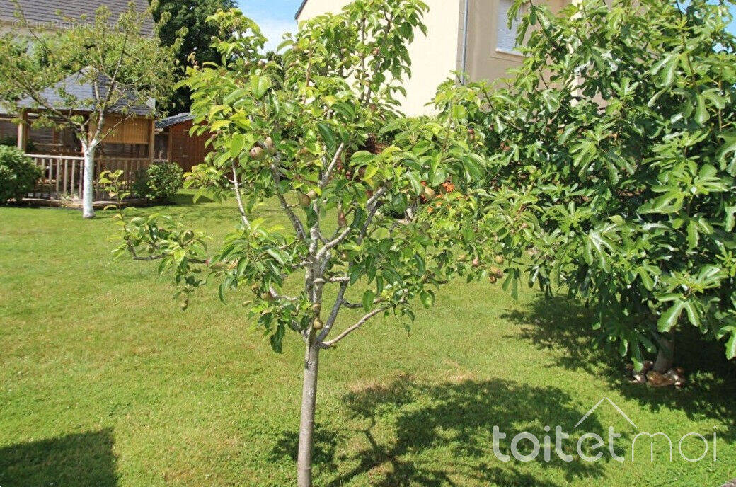 Terrain à MAGNY-LES-HAMEAUX