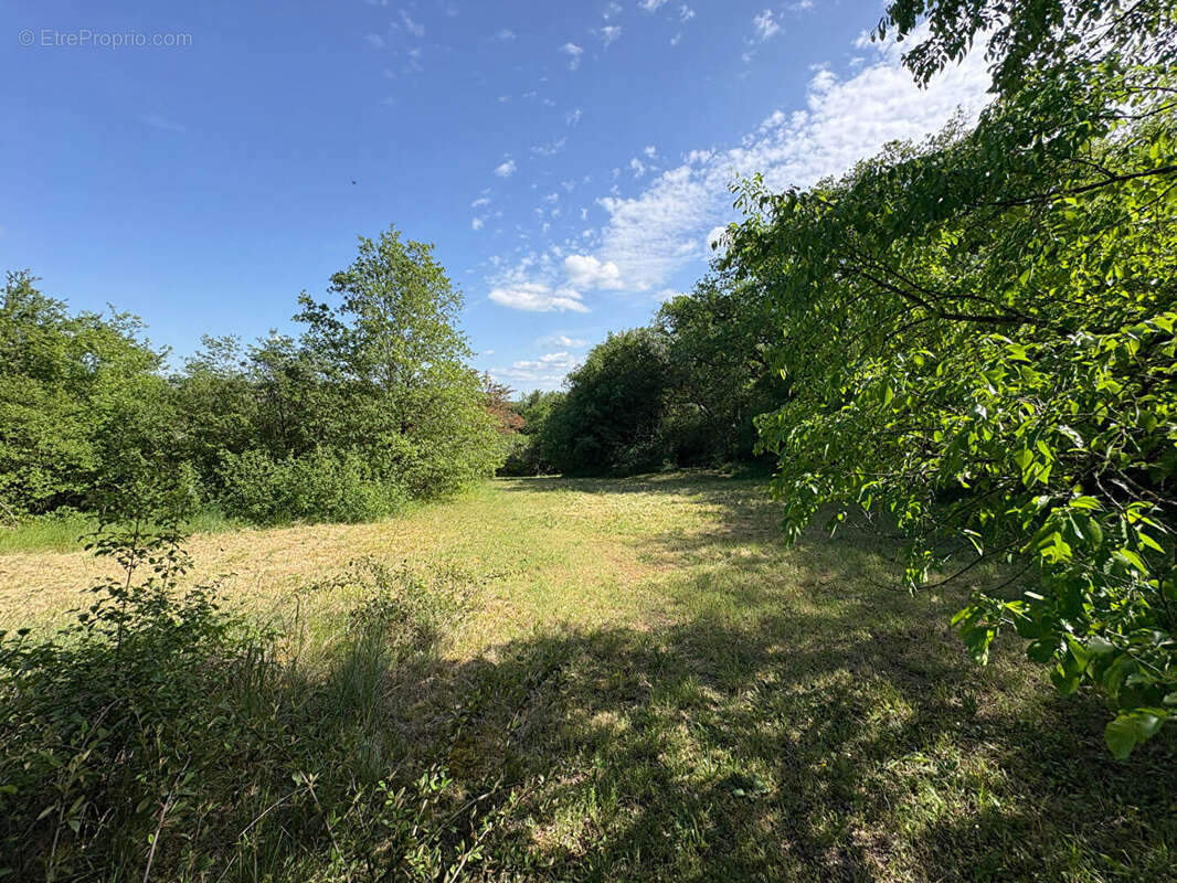 Terrain à LA DORNAC