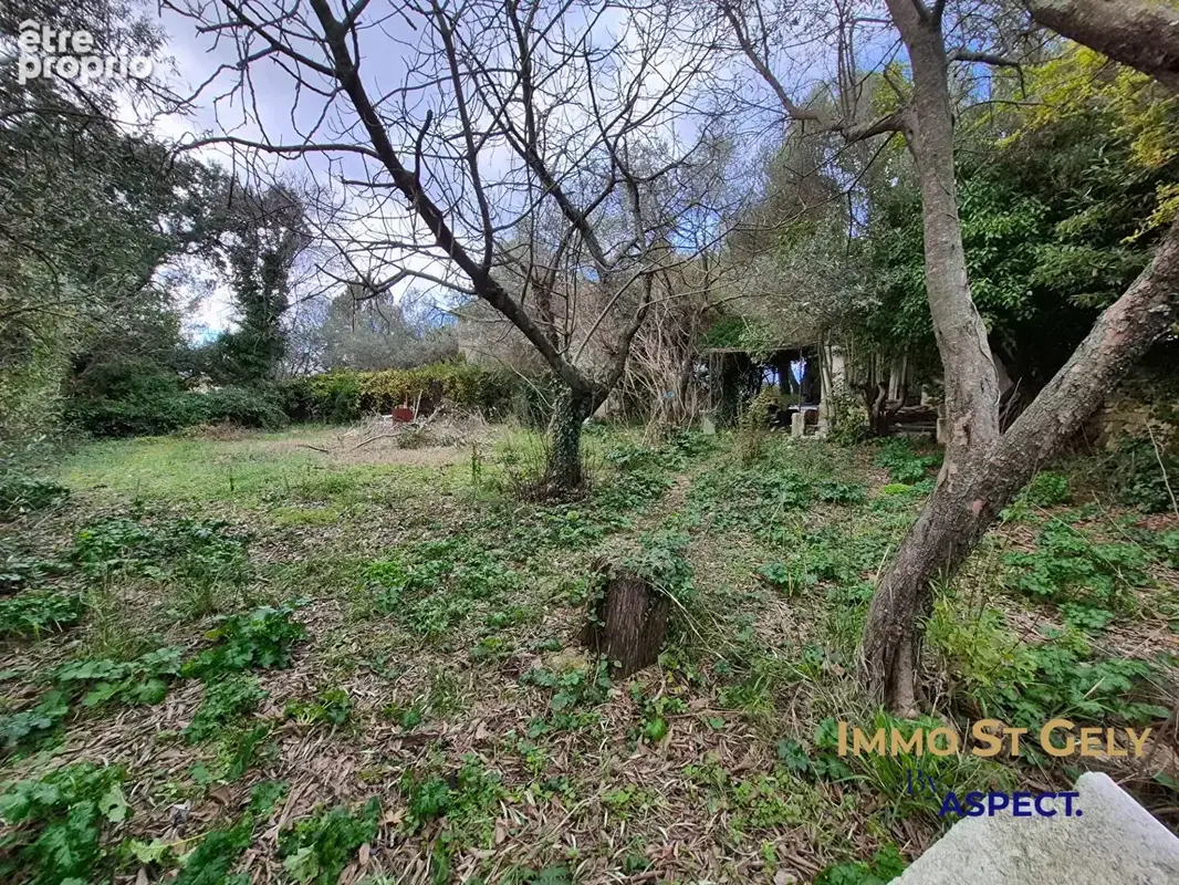 Terrain 643 m² à vendre à Saint-Vincent-De-Barbeyrargues (34730) - photo 3