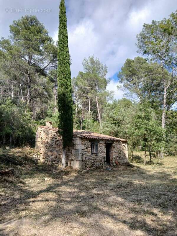 Terrain de 7000m² avec cabanon et 1100m² de - photo 9