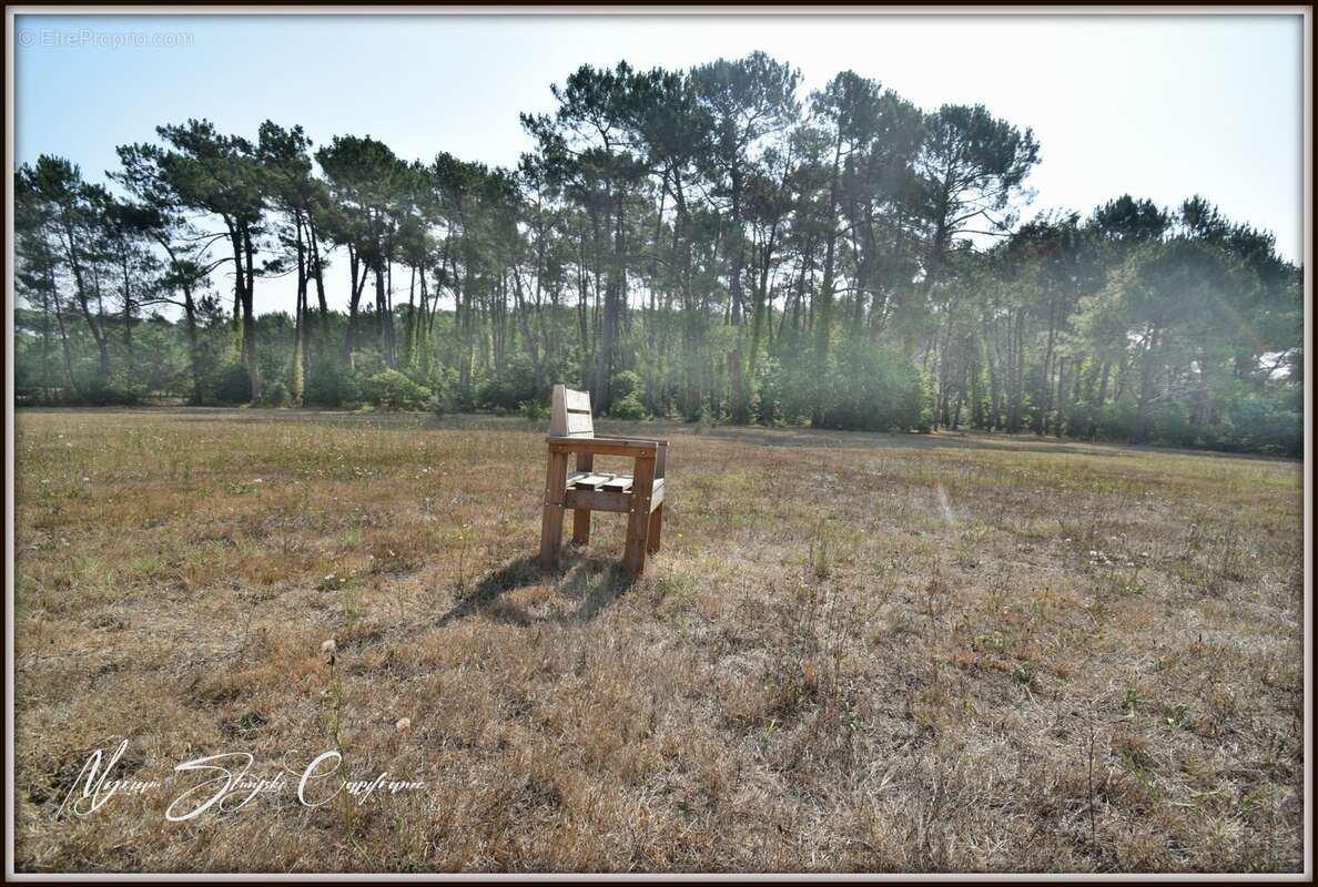 Propriete à vendre 10 pièces  (40) proche de l'etang blanc - photo 15