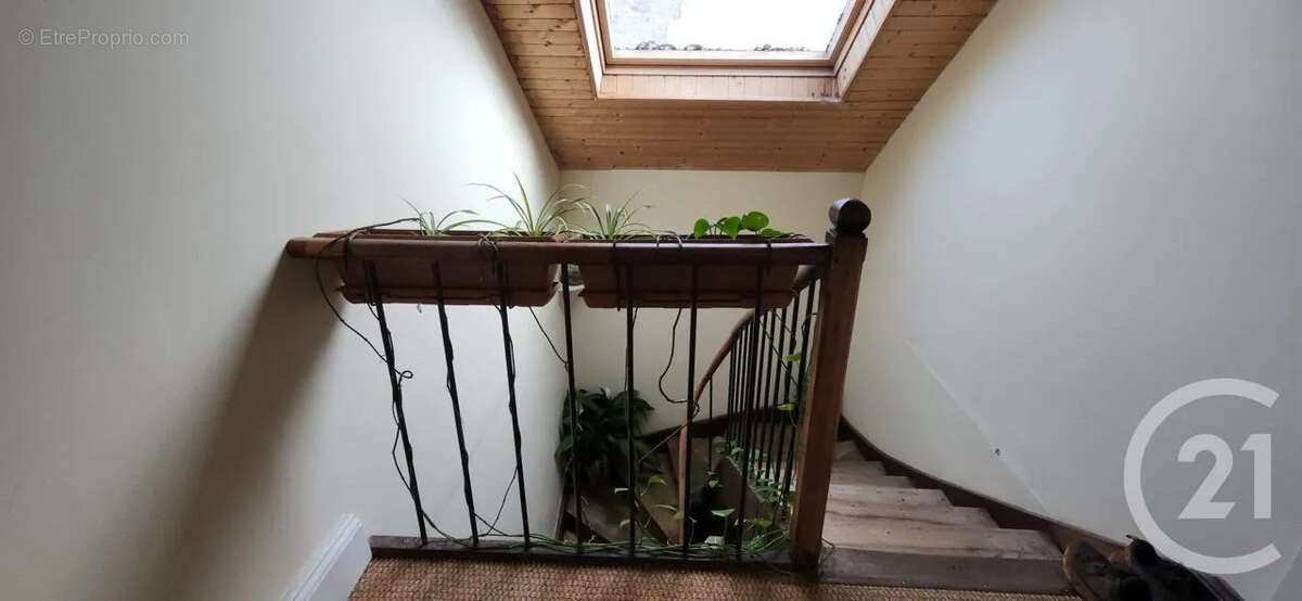 Maison 227 m² à Aurillac  - photo 20