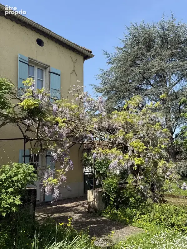 Mouchan—maison de village avec dependances et jardin - photo 31
