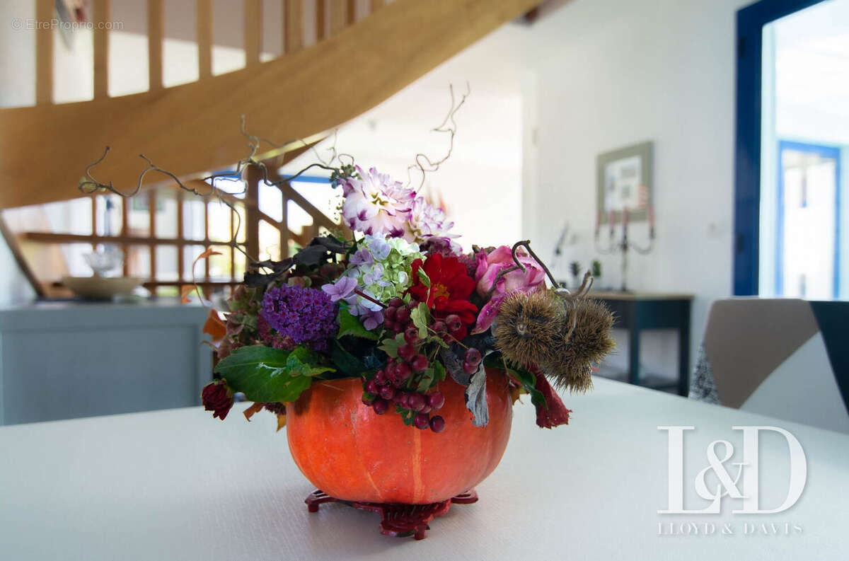 Maison à MOELAN-SUR-MER