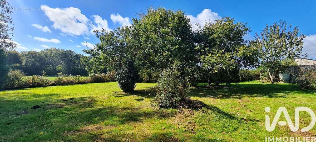 Photo 3 - Terrain à SAINTE-ANNE-D'AURAY