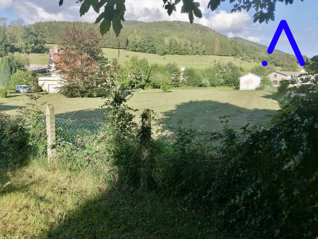 Terrain à PLAINFAING