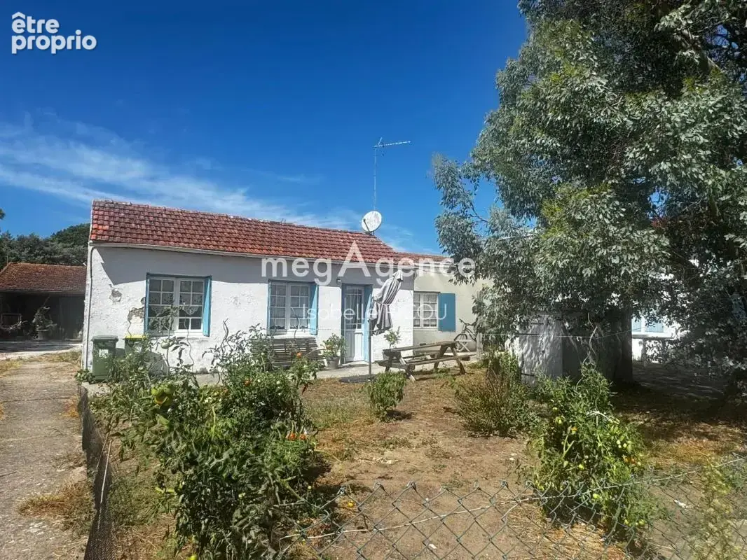 DOLUS D'OLERON, côte Ouest, maison charentaise de 180m² sur 620m² - photo 3
