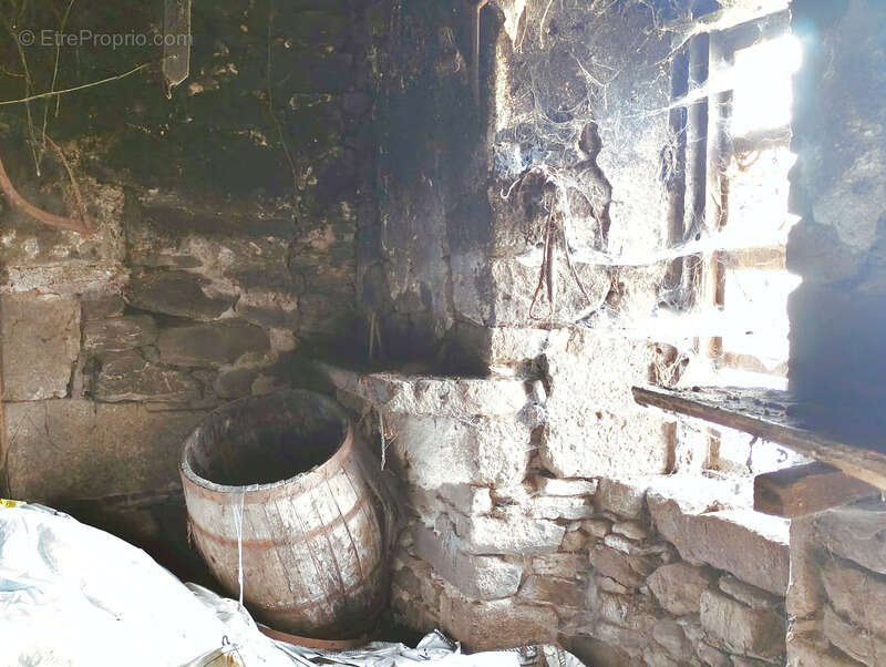 Maison à SAINT-VINCENT-DE-SALERS