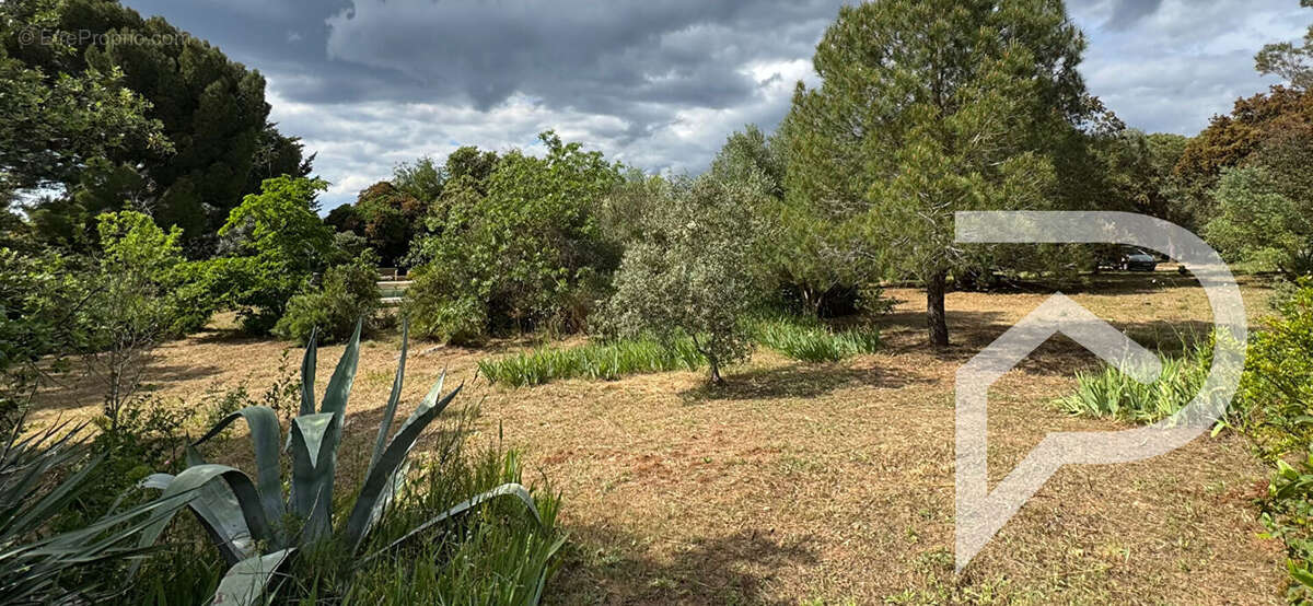Maison à BALARUC-LE-VIEUX