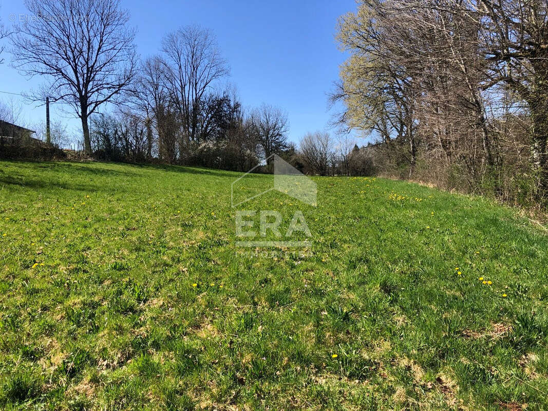 Terrain à ANDELOT-EN-MONTAGNE