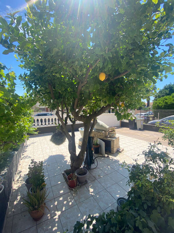 Maison à VILLELONGUE-DE-LA-SALANQUE