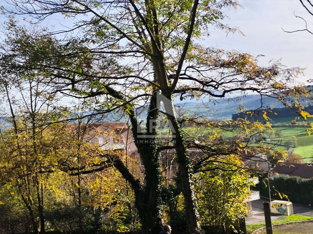 Terrain à SAINT-JEAN-BONNEFONDS