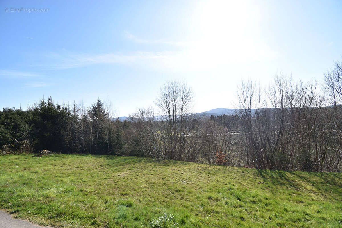 Terrain constructible Saint Leonard 930 m2 - photo 3