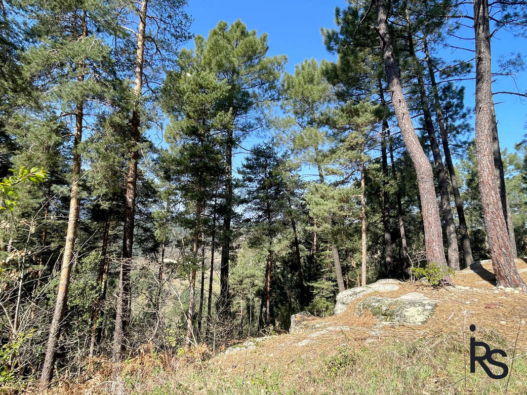 Une lumineuse maison de village de 167 m2 avec 5259 m2 de terrain en partie séparé, au calme avec belles vues. - photo 19