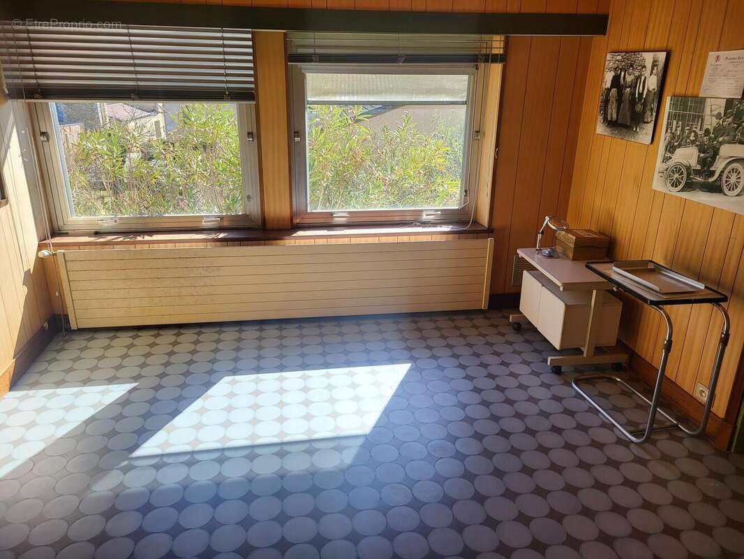 20250228123953 - Maison à PROISSANS