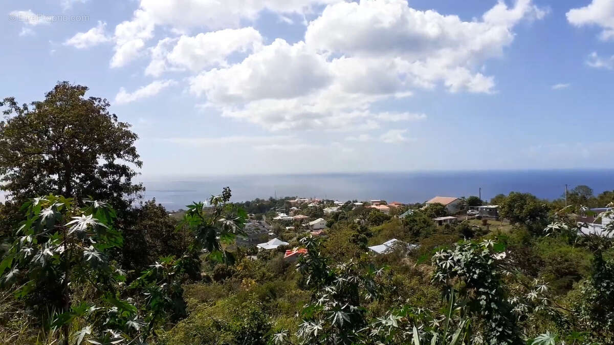 Terrain à VIEUX-HABITANTS