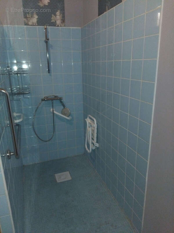 douche - Maison à VILLOTTE-DEVANT-LOUPPY