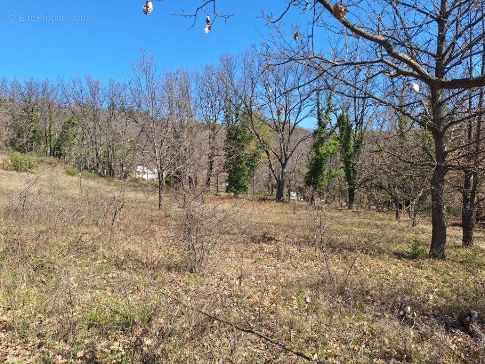 Terrain à QUINSON