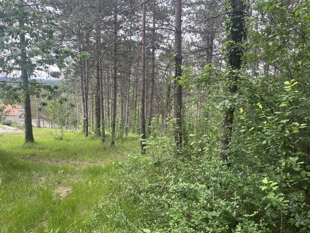 Terrain à BASSILLAC