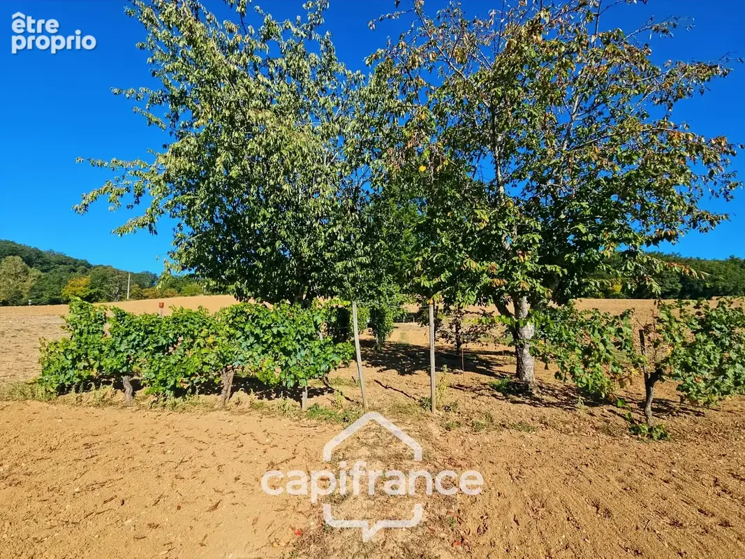 Maison 3 chambres, garage, jardin 3380m², puit, proche Pont du Casse - photo 18