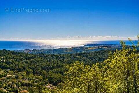Maison 208 m² à Tourrettes-Sur-Loup  - photo 3
