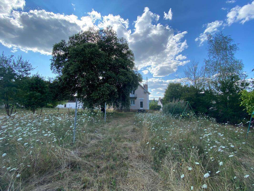 Maison à LE BUISSON-DE-CADOUIN