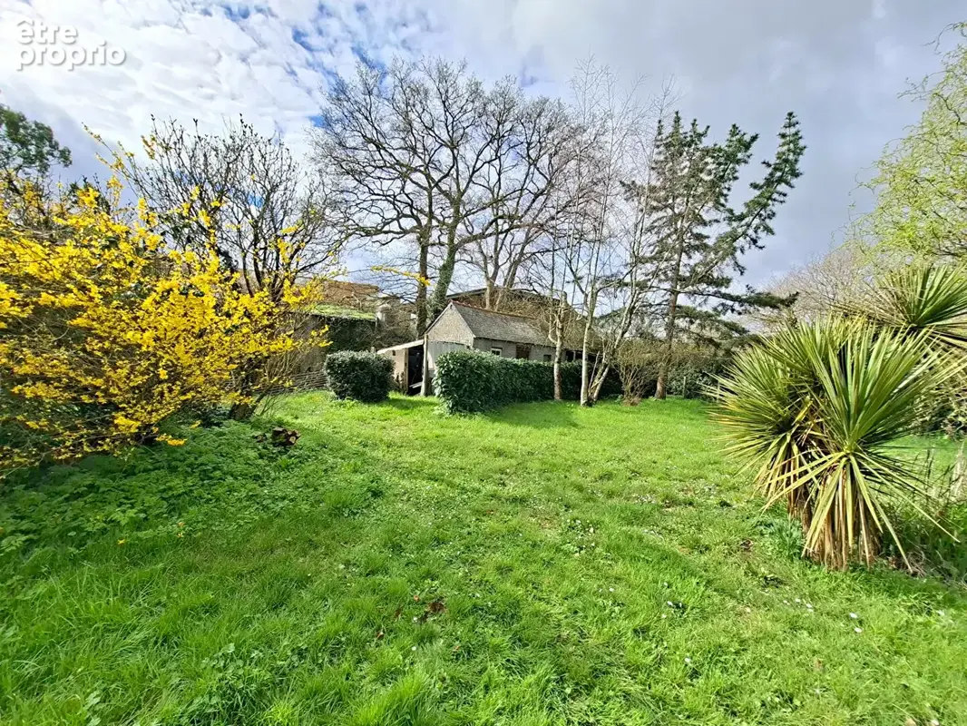 Maison en pierre + grange -Terrain env. 1 390m² -Beau potentiel - Saint-André-des-Eaux - photo 8